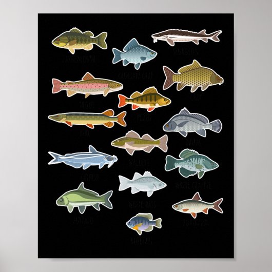 Soorten zoetwatervis Gevist Poster (Voorkant)