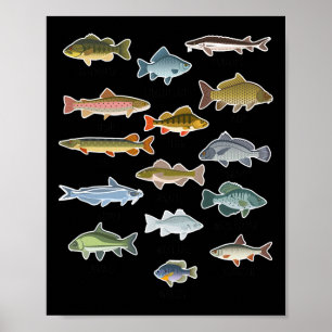 Soorten Zoetwatervis Vissen Poster