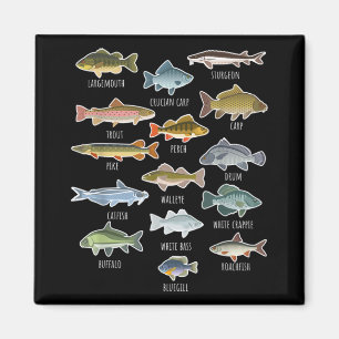 Soorten zoetwatervissoorten Gevist Magneet