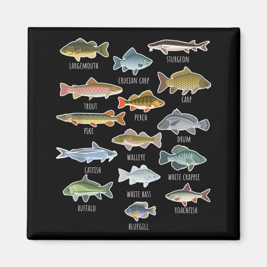 Soorten zoetwatervissoorten Gevist Magneet (Voorkant)