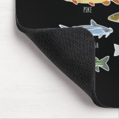 Soorten zoetwatervissoorten Gevist Muismat (Hoek)