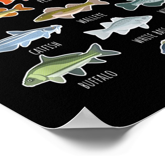 Soorten zoetwatervissoorten Gevist Poster (Hoek)