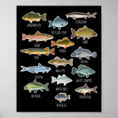 Soorten zoetwatervissoorten Gevist Poster (Voorkant)