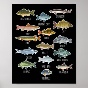 Soorten zoetwatervissoorten Gevist Poster