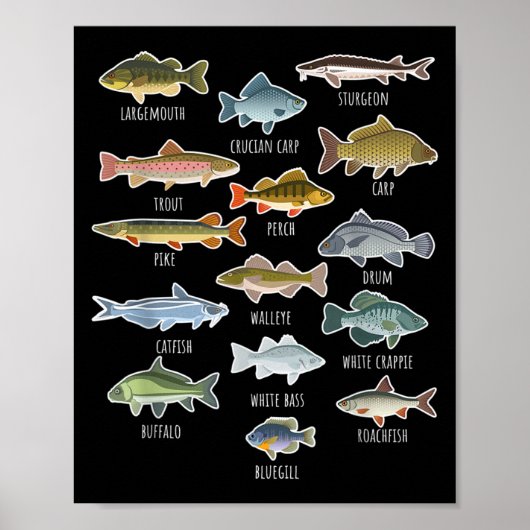 Soorten zoetwatervissoorten Gevist Poster (Voorkant)