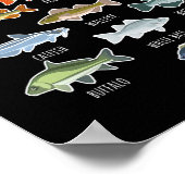 Soorten zoetwatervissoorten Gevist Poster (Hoek)