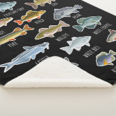 Soorten zoetwatervissoorten Gevist Sherpa Deken (3/4)