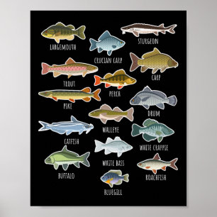 Soorten Zoetwatervissoorten Vissen Poster