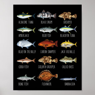 Soorten Zoutwater Vissen Biologie Vissen Liefhebbe Poster