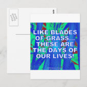 SOORTGEBLADEN GRAS BRIEFKAART (Voorkant / Achterkant)