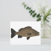 Sooty Grunter Briefkaart (Staand voorkant)