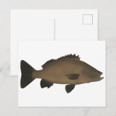 Sooty Grunter Briefkaart (Voorkant / Achterkant)