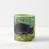 Sooty Mok (Midden)