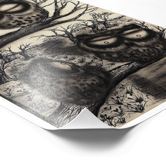 Sooty Owls Foto Afdruk (Hoek)