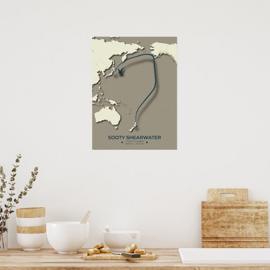 Sooty Shearwater Migration Map – Minimalistisch Poster (Keuken)