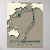 Sooty Shearwater Migration Map – Minimalistisch Poster (Voorkant)