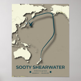 Sooty Shearwater Migration Map – Minimalistisch Poster