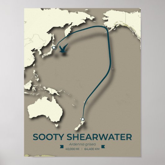 Sooty Shearwater Migration Map – Minimalistisch Poster (Voorkant)