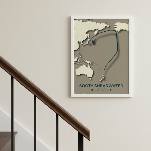 Sooty Shearwater Migration Map – Minimalistisch Poster