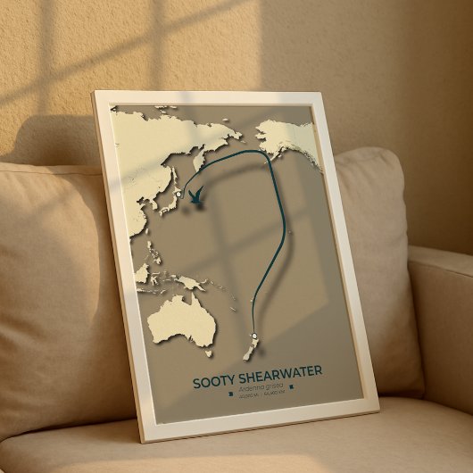 Sooty Shearwater Migration Map – Minimalistisch Poster