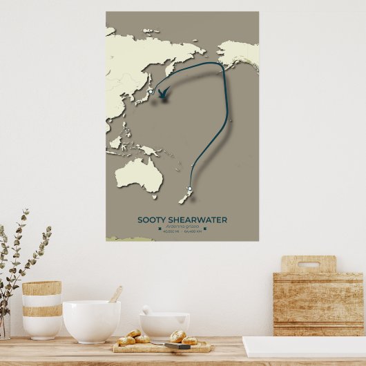 Sooty Shearwater Migration Map – Minimalistisch Poster (Keuken)