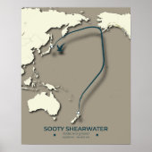 Sooty Shearwater Migration Map – Minimalistisch Poster (Voorkant)