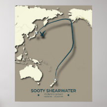 Sooty Shearwater Migration Map – Minimalistisch
