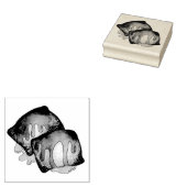 Sopaipilla Cachanga Sopaipa Gebakken gebak Rubberstempel (Gestempeld)