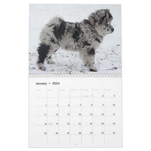 Sophia 2015 Custom Chow Calendar Kalender (Jan 2026)