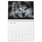 Sophia 2015 Custom Chow Calendar Kalender (Mar 2027)