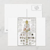 Sophia - om de geest te veranderen briefkaart (Voorkant / Achterkant)