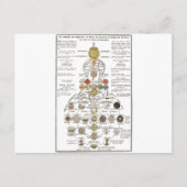 Sophia - om de geest te veranderen briefkaart (Voorkant)