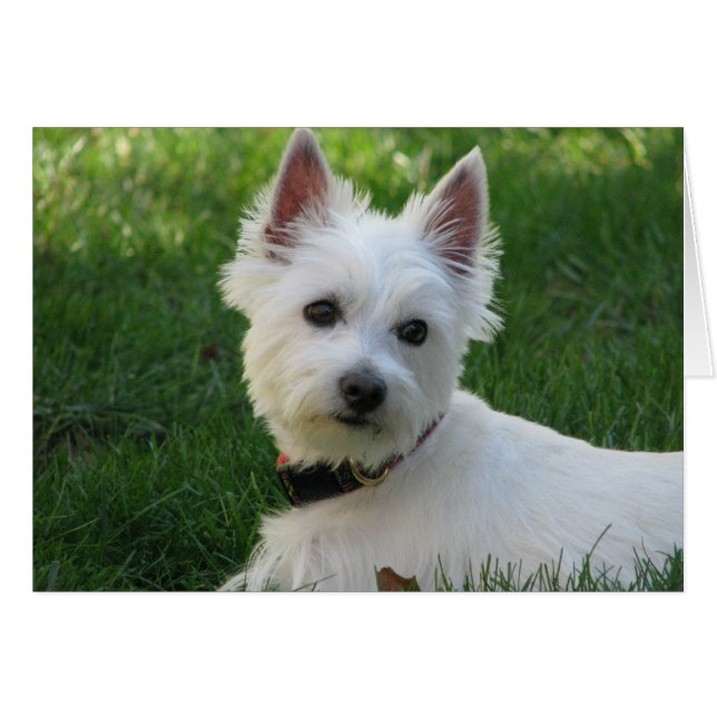 Sophie (Voorkant Horizontaal)