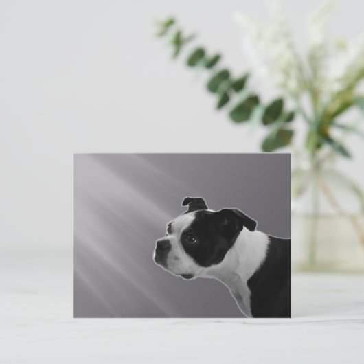 Sophie Briefkaart (Staand voorkant)