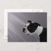 Sophie Briefkaart (Voorkant / Achterkant)