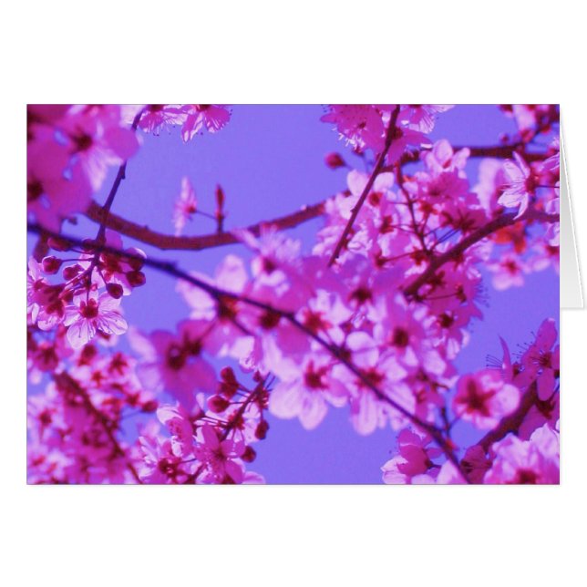 Sophie Card Sjabloon (Voorkant Horizontaal)