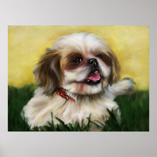 Sophie Shih Tzu Poster (Voorkant)