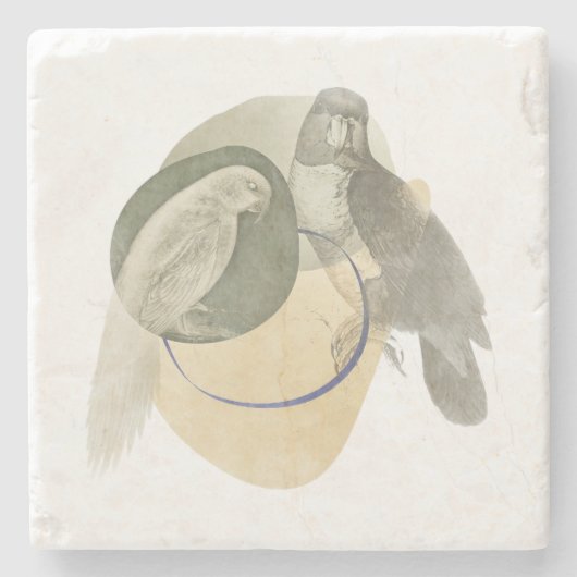 Sophisticated Bird Art Warm Neutral Stone Coaster Stenen Onderzetter (Voorkant)