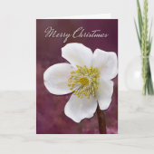 Sophisticated High-Poly Winter Rose Art Christmas Kaart (Voorkant)