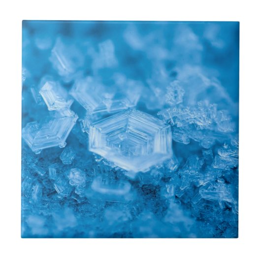 Sophisticated Style: Elegance Keramische Tegel Col Tegeltje (Voorkant)