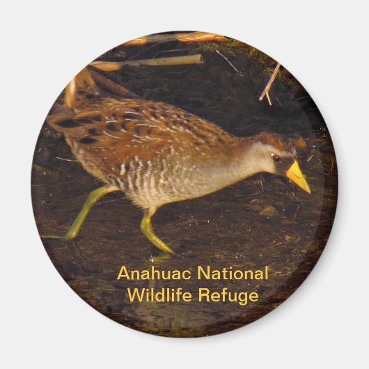 Sora Magneet (Voorkant)