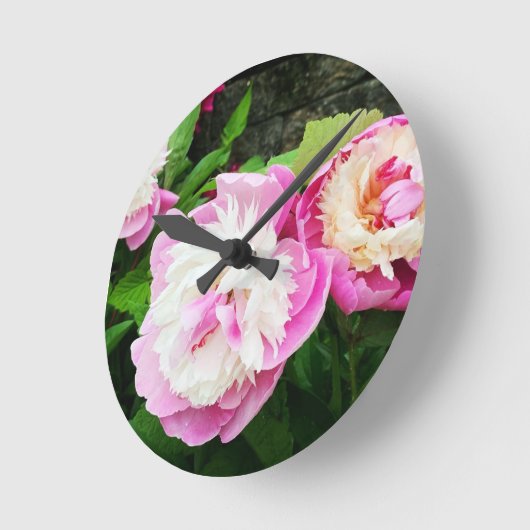 Sorbet Double Peony in de tuin ronde wandklok (Hoek)