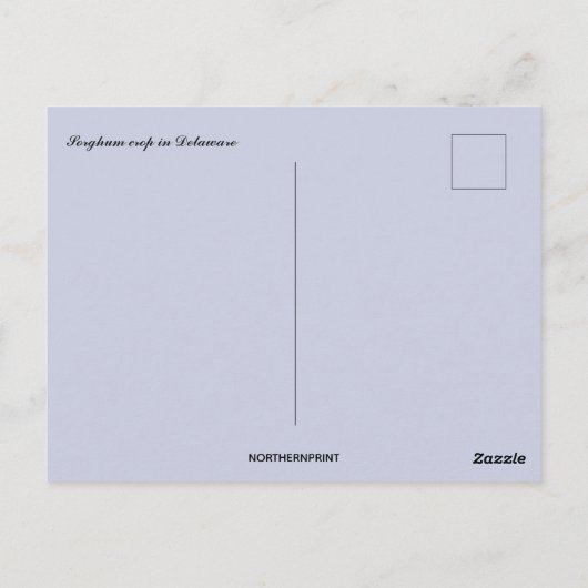 Sorghum Gewas in Delaware Briefkaart (Achterkant)
