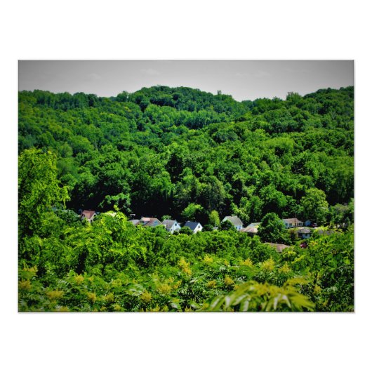 Sorins Roots Foto Afdruk (Voorkant)