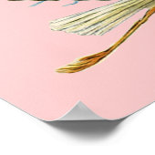 SORK BABY GIRL SHOWER, crème Poster (Hoek)