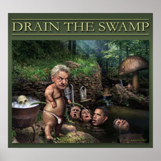 Soros in het Poster van de geheime tuin (Voorkant)