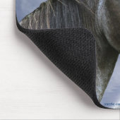 Sorraia Spaanse Mustang Hengst Paard & Mousepad Muismat (Hoek)