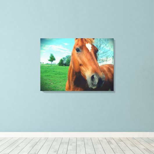 Sorrel Gelding Canvas Afdrukken (Insitu (Houten vloer))