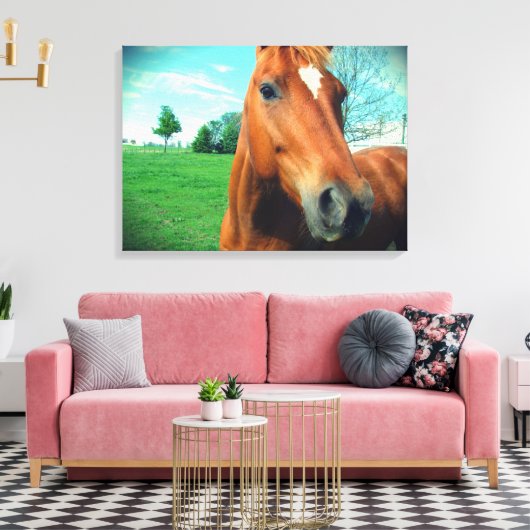 Sorrel Gelding Canvas Afdrukken (Insitu (Woonkamer))