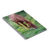 Sorrel Gelding Notitieboek (Rechterzijde)